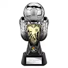 Tournament Shield Boot Ball Trophy 245mm
