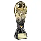 Winning Goal Gold Trophy 220mm