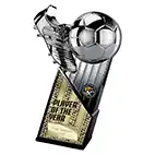 Marauders Player of the Year Trophy 280mm