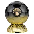 Elite Black Gold Player of the Match 200mm