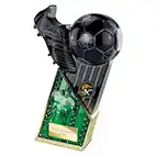 Green Shirt Gold Marauders Trophy 220mm