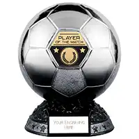 Elite Metallic Silver to Black Player of the Match 200mm