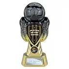 Player of the Match Gold Tournament Trophy 245mm