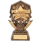 Players Player Gold Allstars 185mm