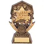 Player Of The Year Gold Allstars 145mm