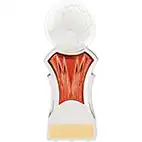 Strike Force White Orange Football Trophy 16cm