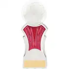 Strike Force White Pink Football Trophy 16cm