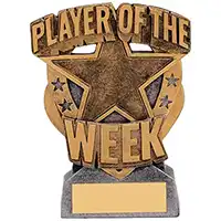 Player of the Week Gold 11.5cm