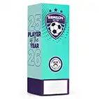 Teal Geo Icon Player of the Year