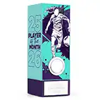 Teal Geo Female Player of the Month 17cm