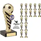 Pegasus Bright Gold Cup 16cm Team Pack