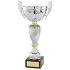 Century Cup Silver & Gold 275mm