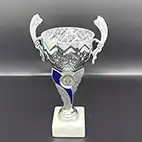 Patterned Cup Laurel Handles 24cm